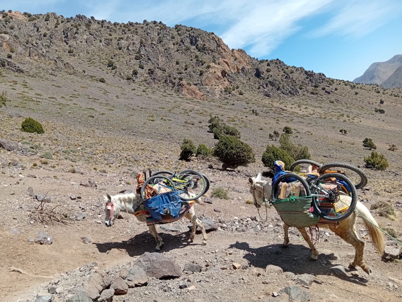 E-Bike Adventure