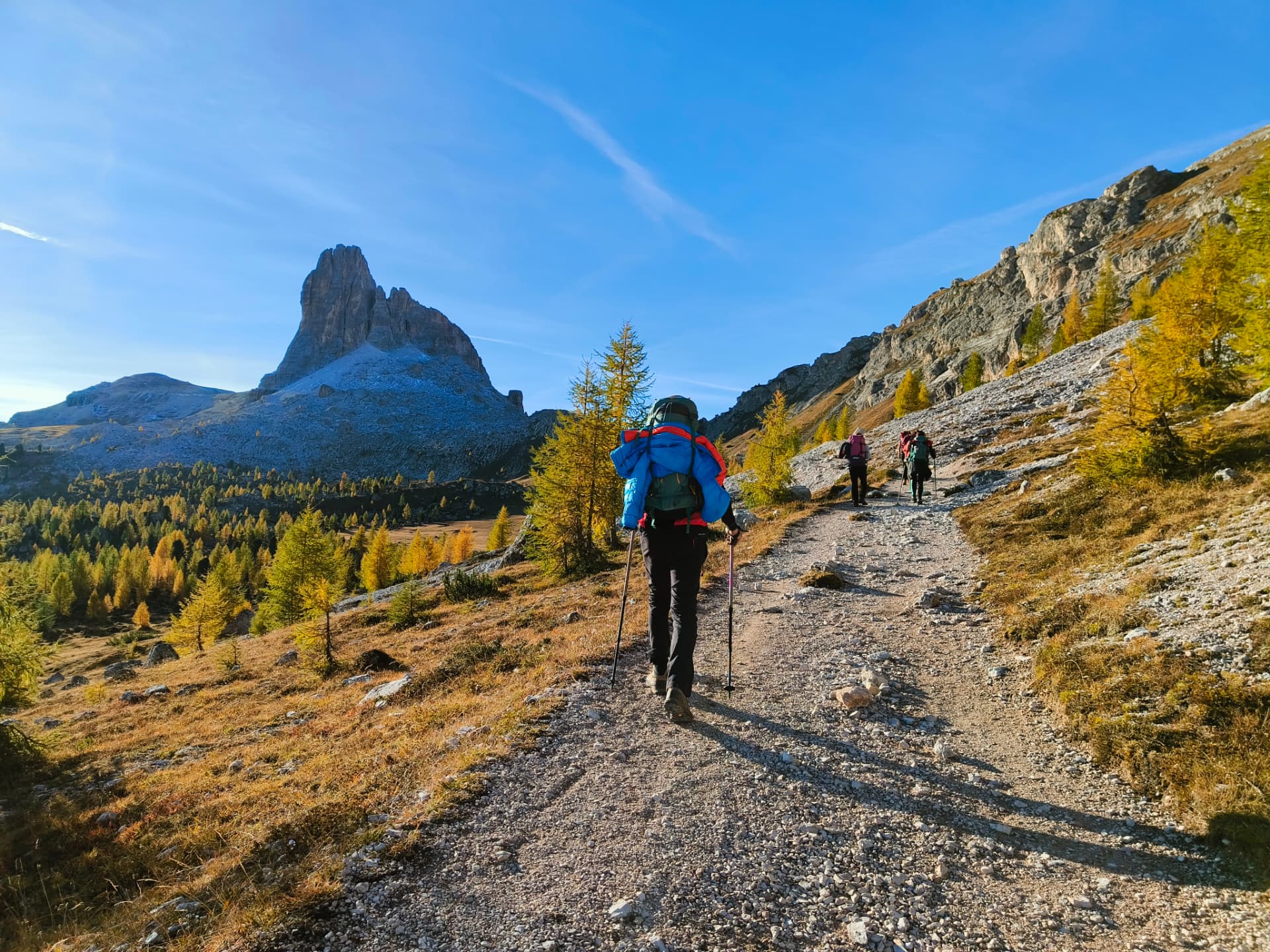 Hikers on a trail towards the Cinque Torri among autumn larches